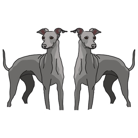 Signmission Italian Greyhound Dog Decal, Dog Lover Decor Vinyl Sticker D-24-Italian Greyhound